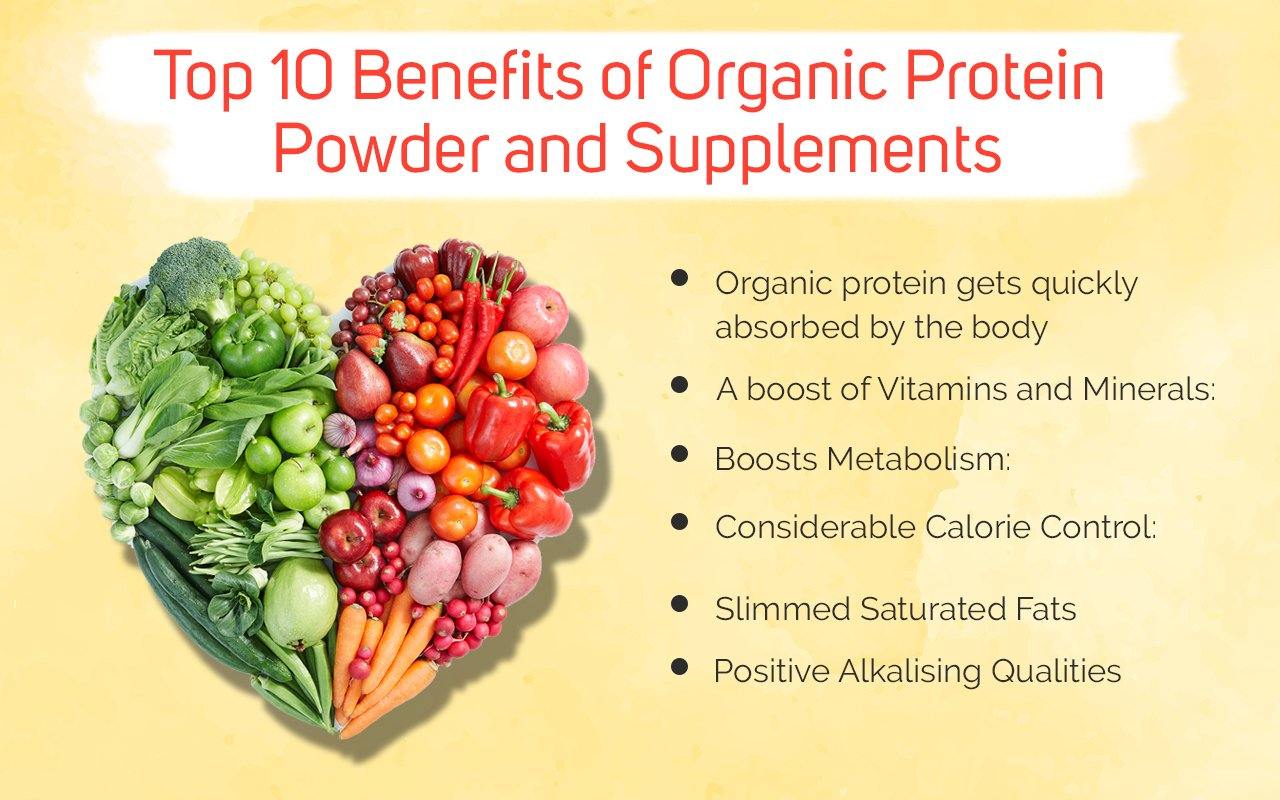 Top 10 Benefits of Organic Protein Powder and Supplements