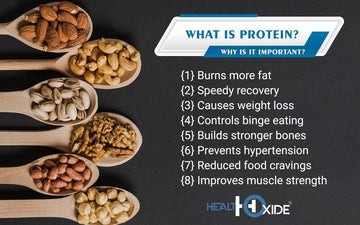 What is Protein? Why is it important? - HealthOxide